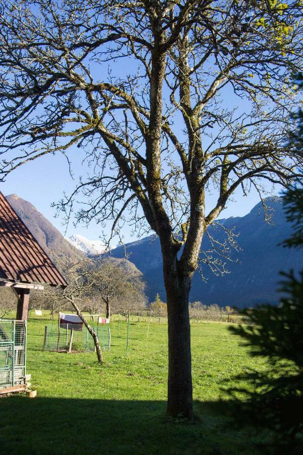 Apartment Mavrica Bovec Dış mekan fotoğraf